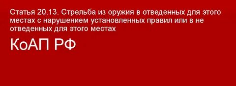 Ст 20.13