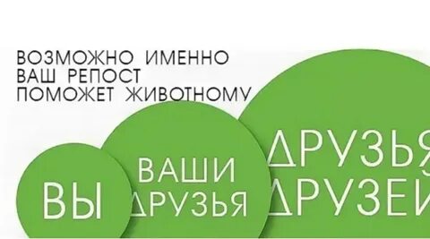 Давайте сделаем репост