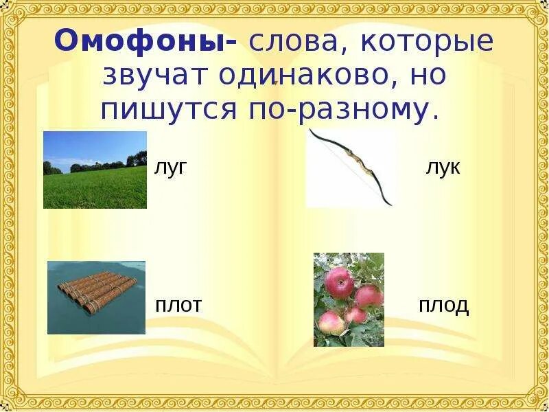 Конец похожие слова. Омофоны. Омонимы. Слова одинаковые по Писанию но по-разному звучат. Слова которые звучат одинаково.