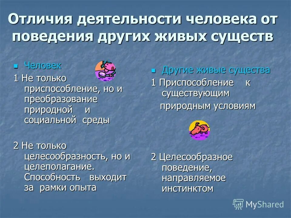 Человек от живого человека отличается. Различия в деятельности человека и животного. Отличие деятельности человека от поведения. Отличие деятельности человека от поведения других живых существ. Отличия деятельности человека от поведения животных.