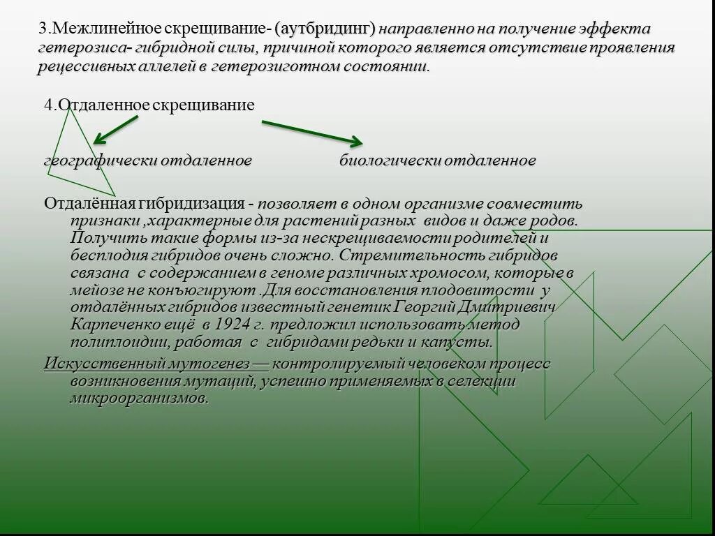 Межлинейное скрещивание аутбридинг. Межлинейное скрещивание в селекции. Межлинейное гибридизация. Скрещивание географически отдаленных форм.