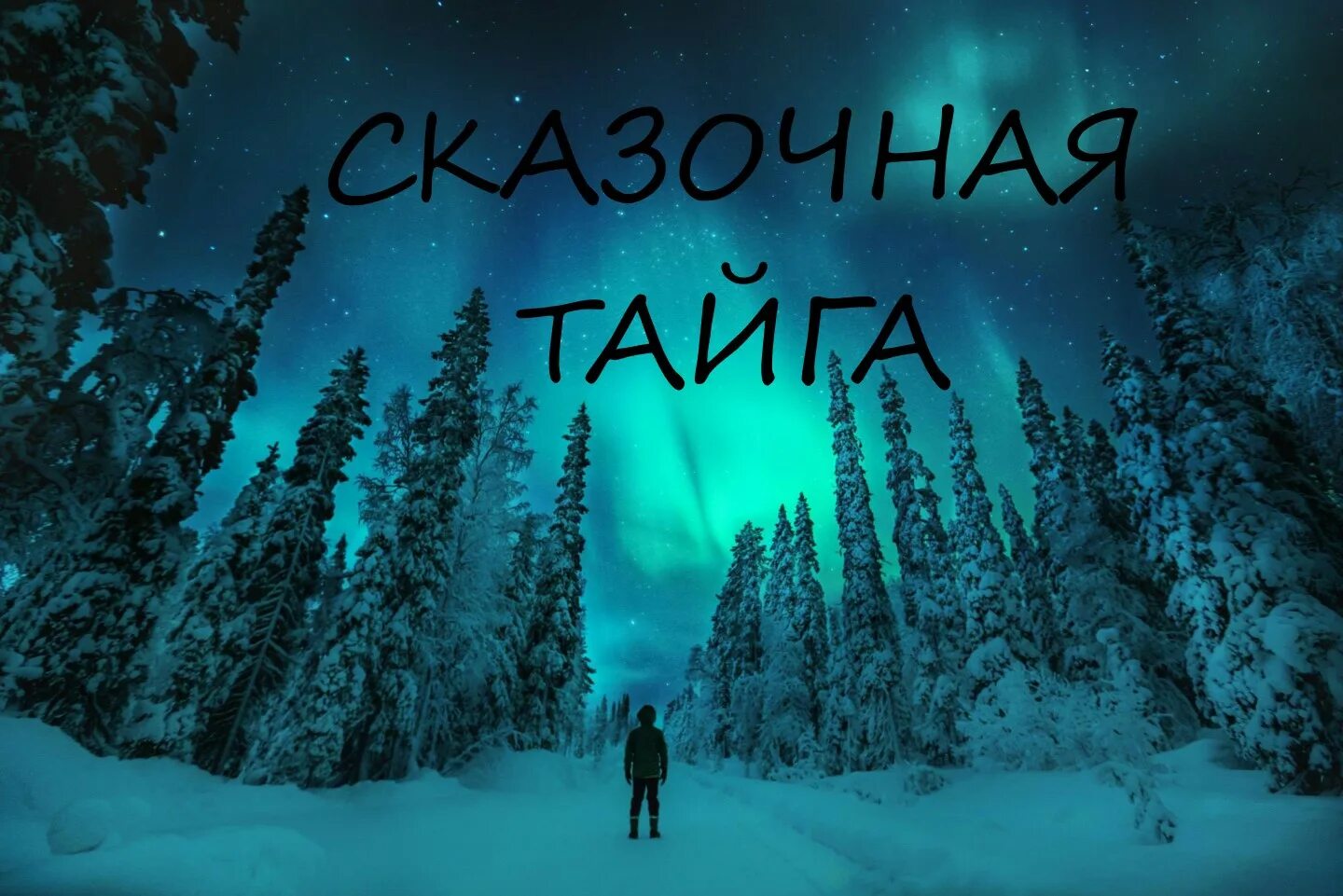 Ночная зимняя тайга