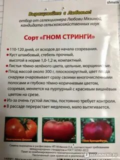 Томат стринги описание