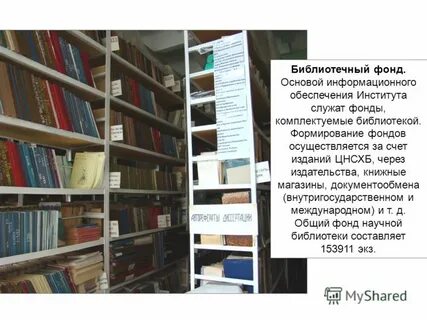 Создание библиотечного фонда