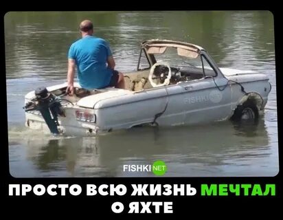 Свежие приколы 2024