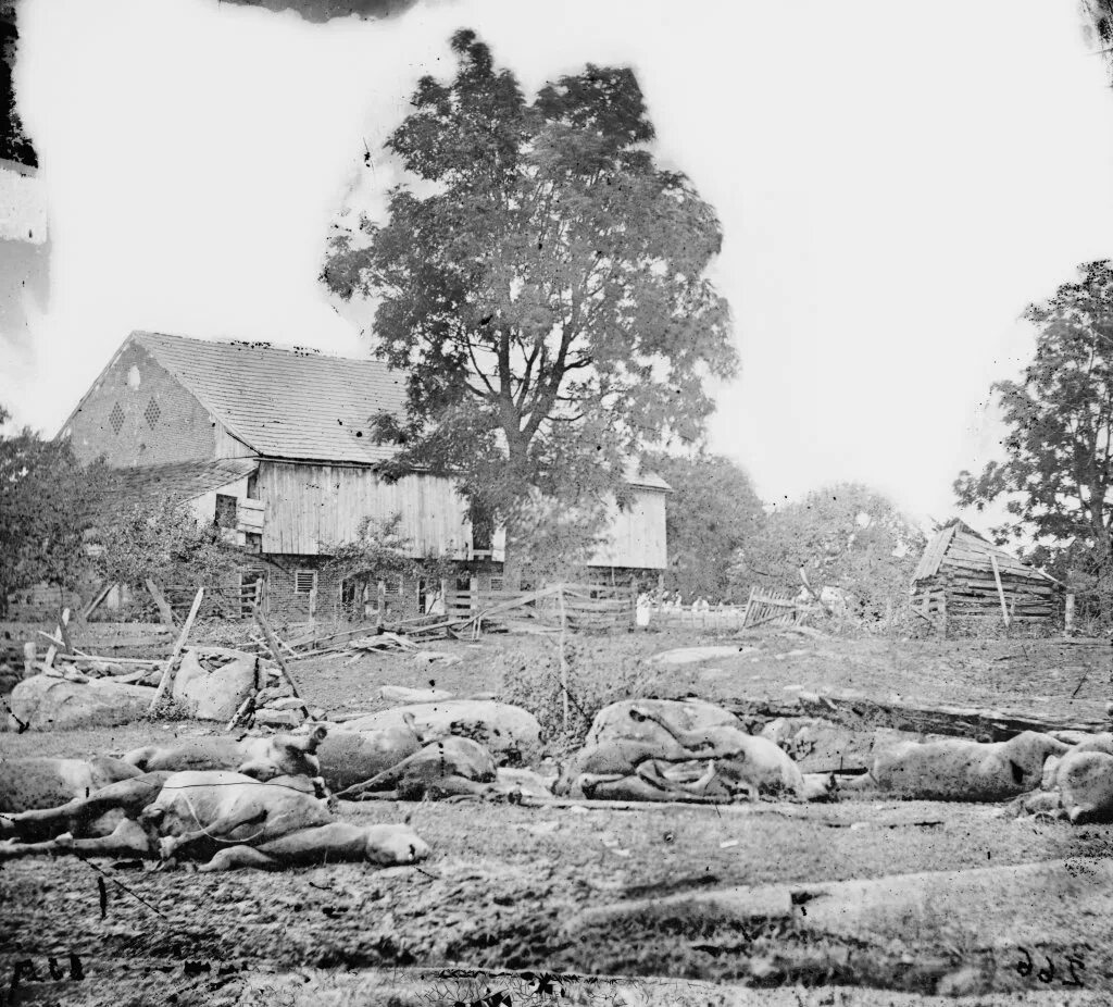 Последствия после гражданской войны. Фотографии гражданской войны в США 1861-1865. Фото гражданской войны США 1865.