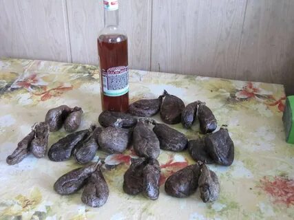 Курс бобровой струи