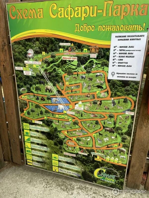 Зоопарк в геленджике сафари парк. Зоопарк в геленджике сафари парк. Сафари парк площадь. Тайган сафари парк в крыму. Сафари парк площадь.