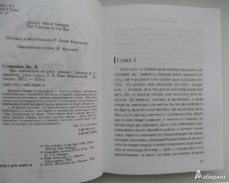 Джером Дэвид Сэлинджер над пропастью во ржи. Над пропастью во ржи книга. Во ржи книга краткое содержание