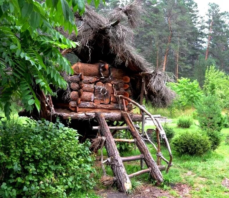 Домик лешего