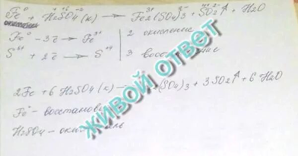 Fe h2so4. Метод электронного баланса fe+h2so4. fe+h2so4 электронный баланс. fe+h2so4 конц электронный баланс. баланс fe+h2so4.