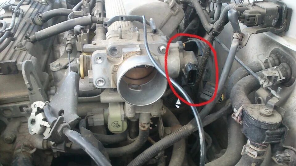 Кот прощается. Прогревать машину обязательно. Пока прогреется. Ваз 2114 8 клапан ная дёргается. Рекомендации по выбору утюга.