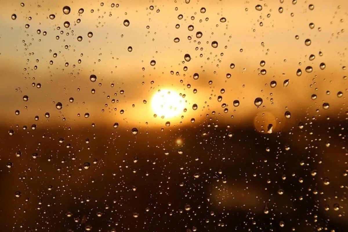 Chance of rain. Chance of rain. Лето дождь солнце. Beasts in the sun. Погодные явления по английскому языку.