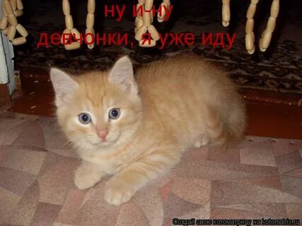 Вот она только что