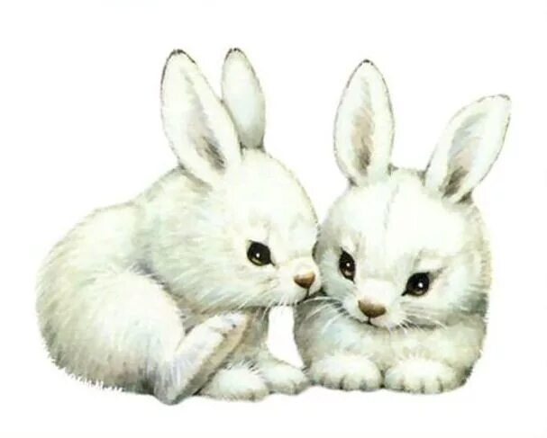 Найди 3 зайца. Зайчик иллюстрация. Зайчик рисунок. Два зайчика. Зайчик на белом фоне.