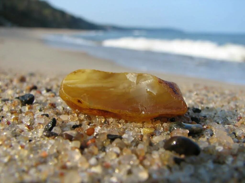 Янтарь на берегу моря. Калининград балтийское море янтарь. Янтарь в балтийском море. Калининград балтийское море янтарь. Янтарный берег калининград.