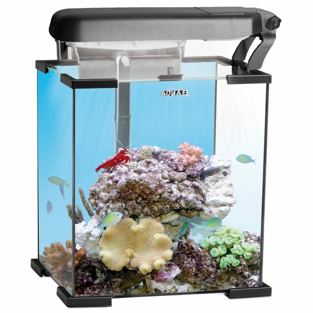 Aquael 30 л. Лампа для аквариума светодиодная акваэль. Aquael shrimp set 10. Aquael pearl 50. Кубик акваэль 30 литров.