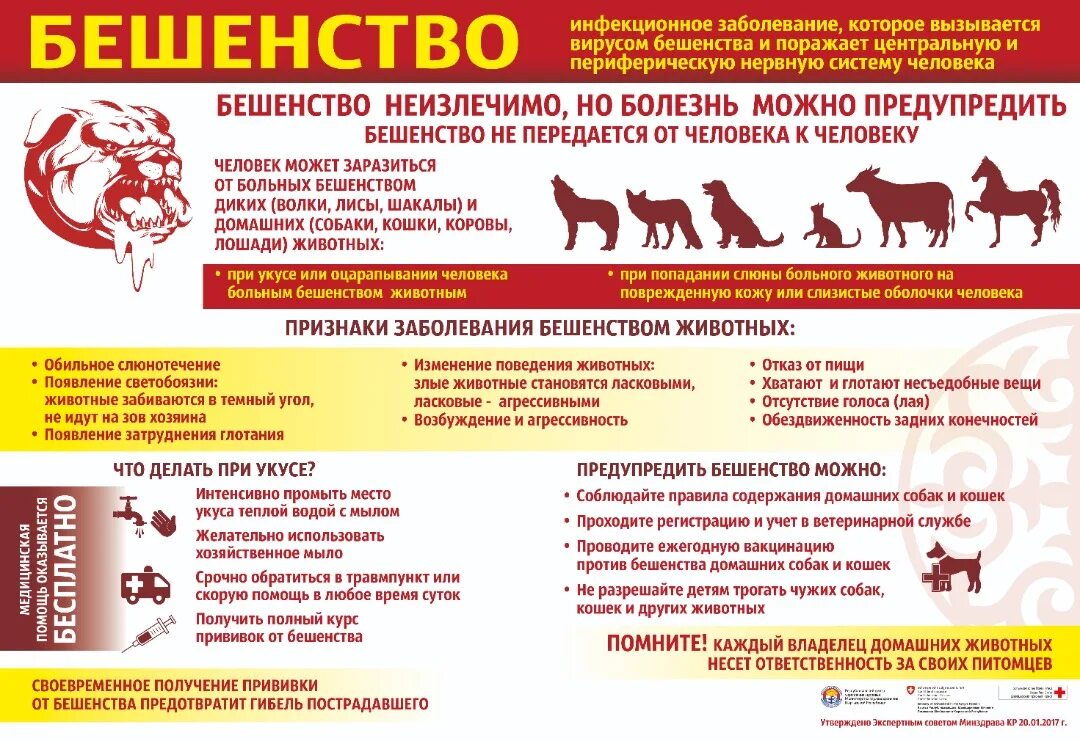 Человек заболел бешенством. Бешенство инфекционное заболевание. Бешенство у животных симптомы.