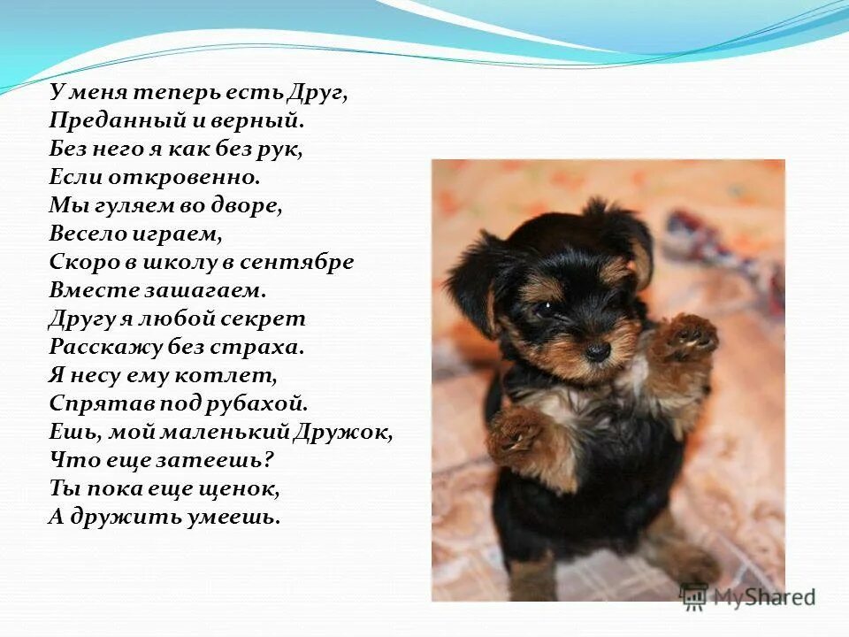 "собака и мальчик" ева ибботсон. Преданный друг он какой. Собака друг человека. Любите животных цитаты. Доброта к животным.