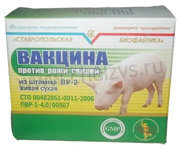 Против рожи свиней штамма