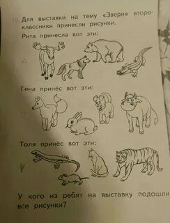 Классы животных на выставках