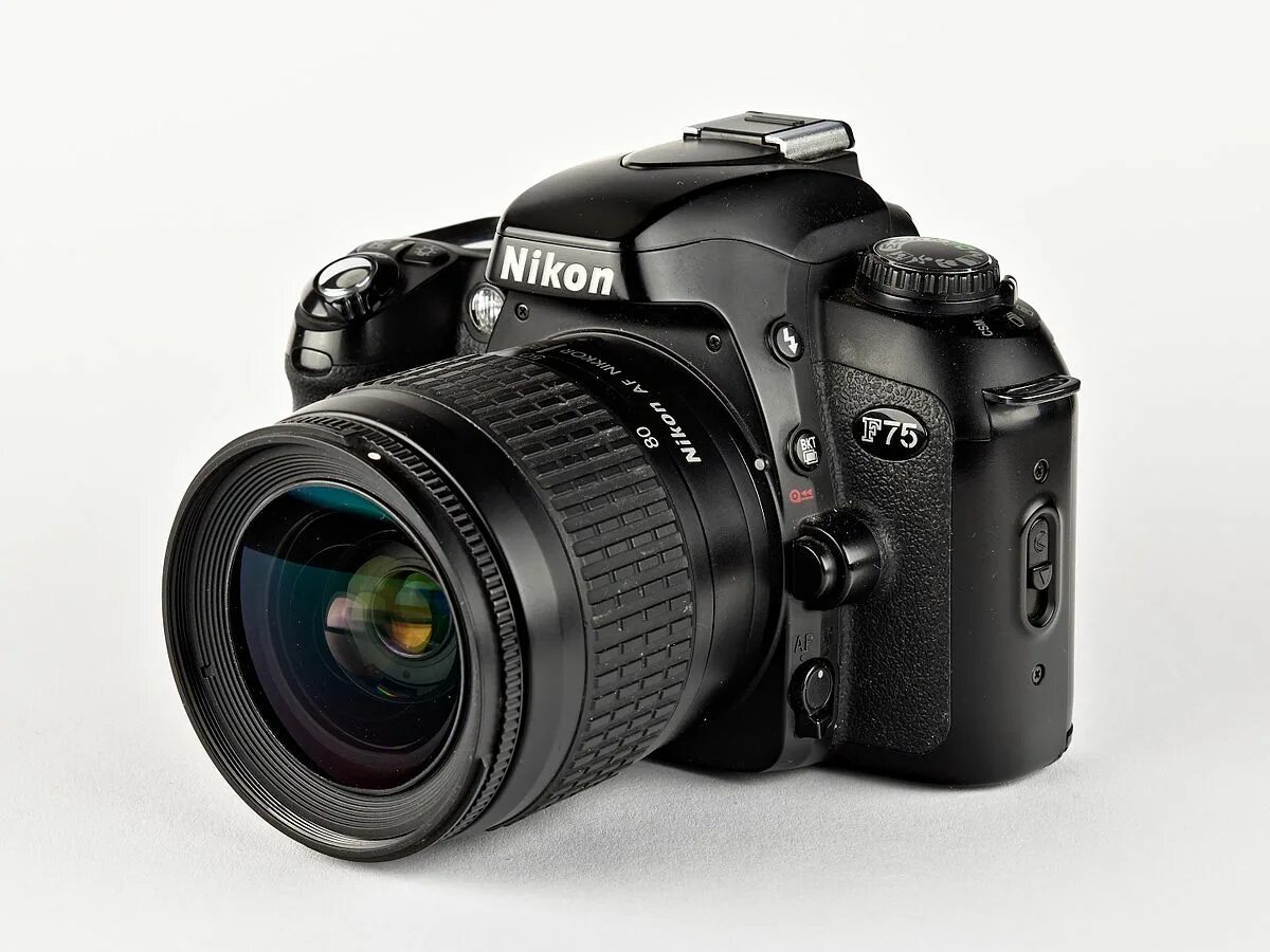 Nikon f75. Nikon n75. Аналоговый фотоаппарат. Nikon f75 фотографии. Фотоаппарат nikon f75.