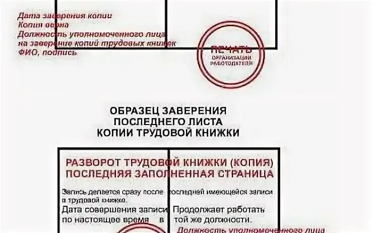 Как правильно заверить копию 2024