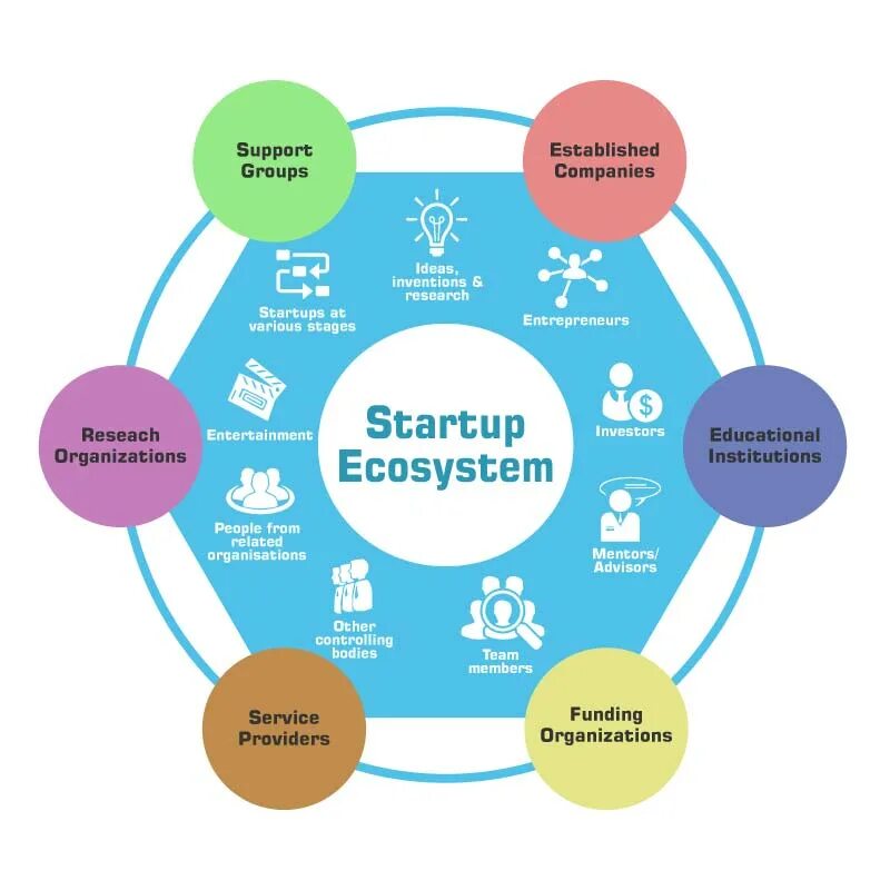 Цифровая экосистема предприятия. Инновационная экосистема сколково. Экосистема стартапа. Цифровая экосистема предприятия. Инновационный парк vector.