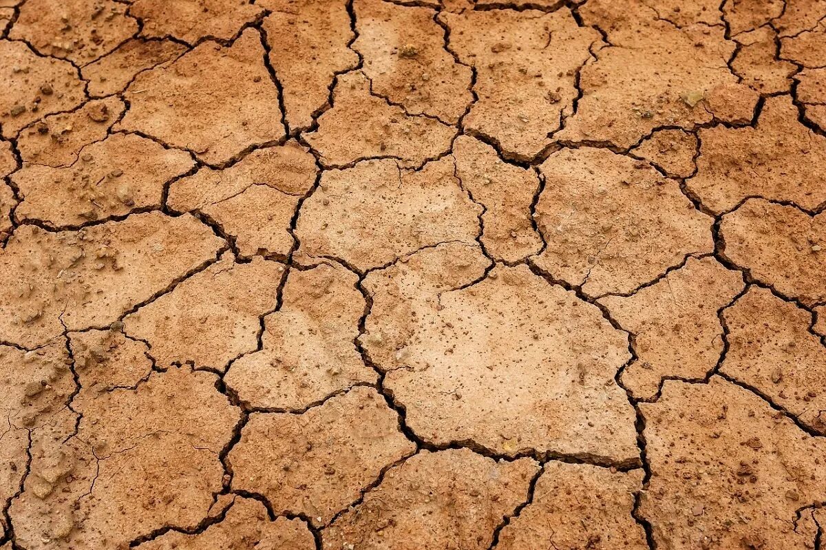 Ground