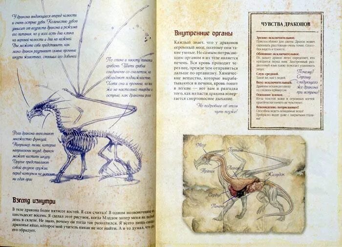 Читать драконам слова. Энциклопедия о драконах. Книга дракона. Драконы. Полная энциклопедия. Книга про драконов с иллюстрациями.