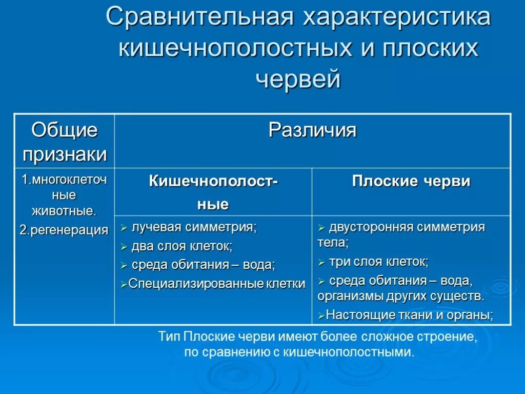 Три признака круглых червей. Общие признаки кишечнополостных и плоских червей. Общая характеристика плоских червей признаки. Общая характеристика плоских червей строение. Характеристика типа плоских червей по сравнению с кишечнополостными..