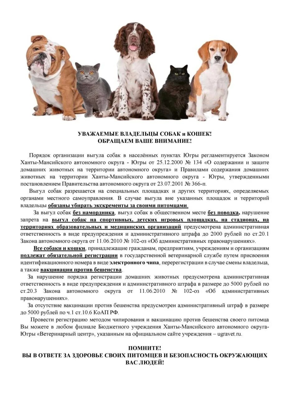 Выгул без поводка статья. Выгул собак объявление. Уважаемые владельцы собак. Заявление выгул собак. Заявление на хозяев собак которые.