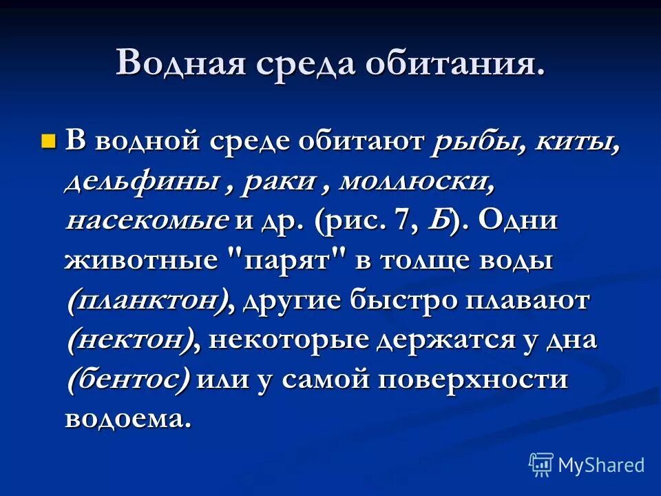 Обитатели водной среды обитания. Водная среда обитания примеры. Доклад о водной среде обитания. Водная среда обитания 5 класс.