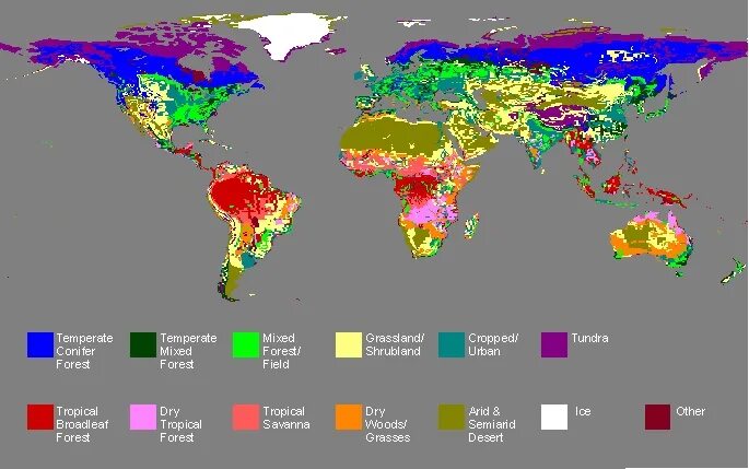 Vegetation and soils. Vegetation creative map an. project world. все биомы в worldbox. abstract vegetation map.