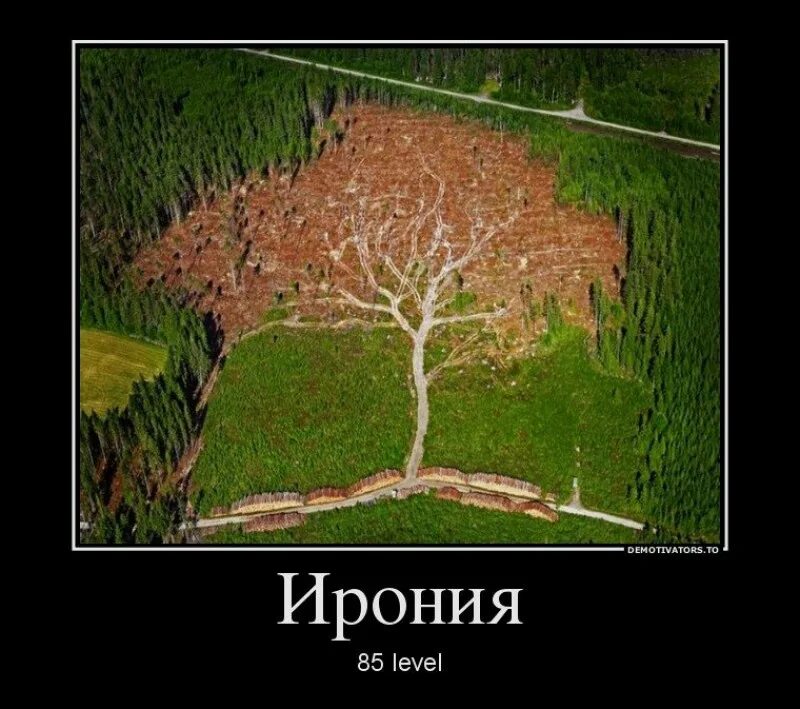 Суть иронии