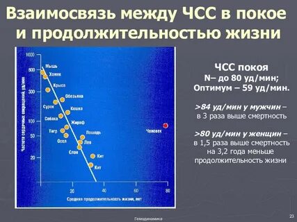 Зависимость продолжительности жизни