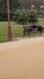 Стыдно минск