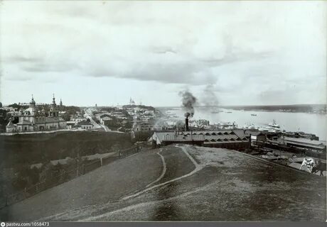История развития перми