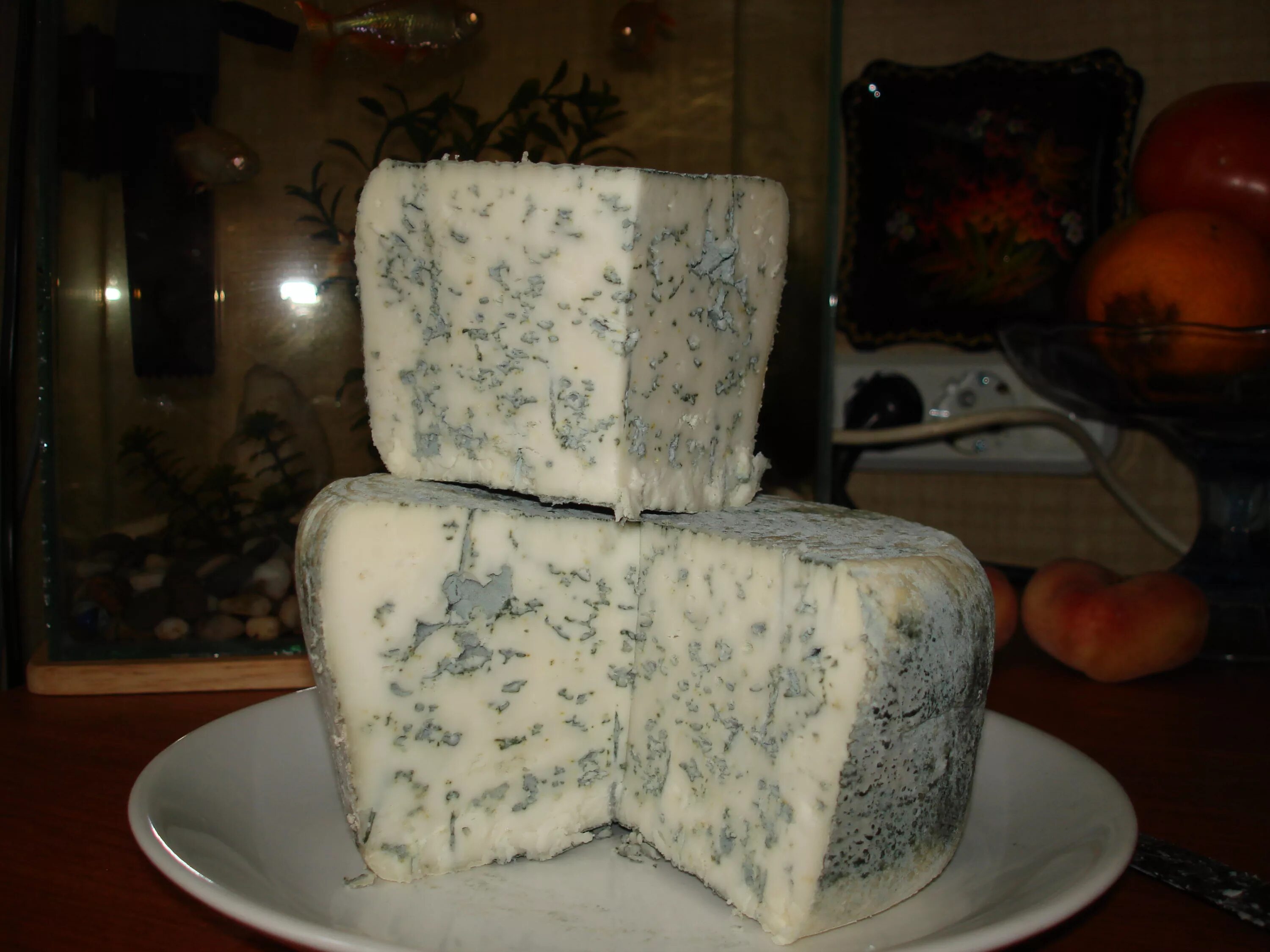 домашний сыр с голубой плесенью. сыры с плесенью. сыр blue cheese. домашний сыр с голубой плесенью. дор блю горгонзола.