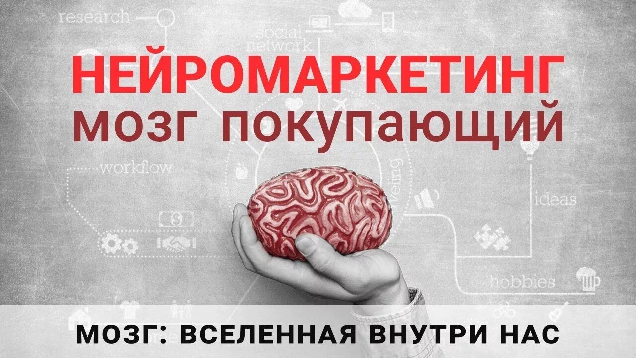 Купи мозги 2. Мохг в нейромаркетинге. Мозг потребителя. Мозг Вселенная внутри нас. Мозг маркетинг.