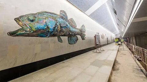 Станция нагатинский затон рыбы