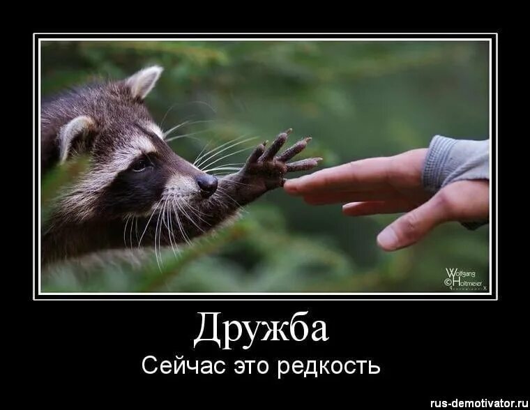 Дружба картинки. Дружба картинки. Шутки для друзей. Не настоящая дружба. Фразы про друзей.