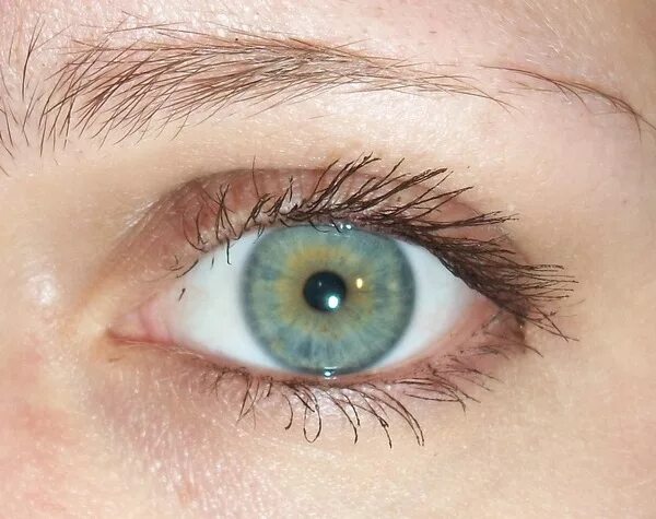 Глаза хамелеоны у человека. Серо-зелено-голубой цвет глаз. Серые глаза хамелеоны. Серо зелено голубые глаза. Цвет глаз хамелеон.