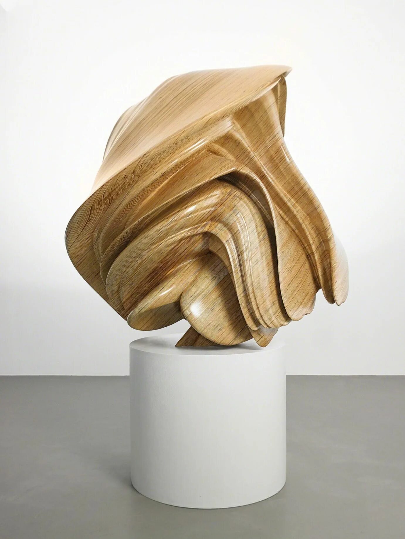 Тони демуро картины в стиле символизм. Тони дерево. Tony cragg художник. Гигантское дерево арт. Toni demuro.