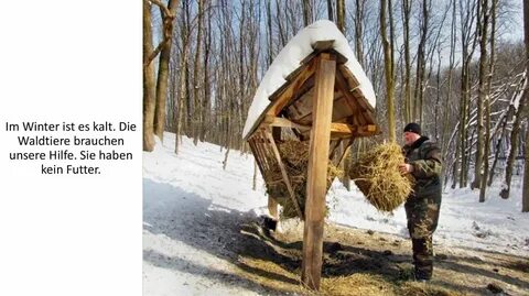 Сделай лесник