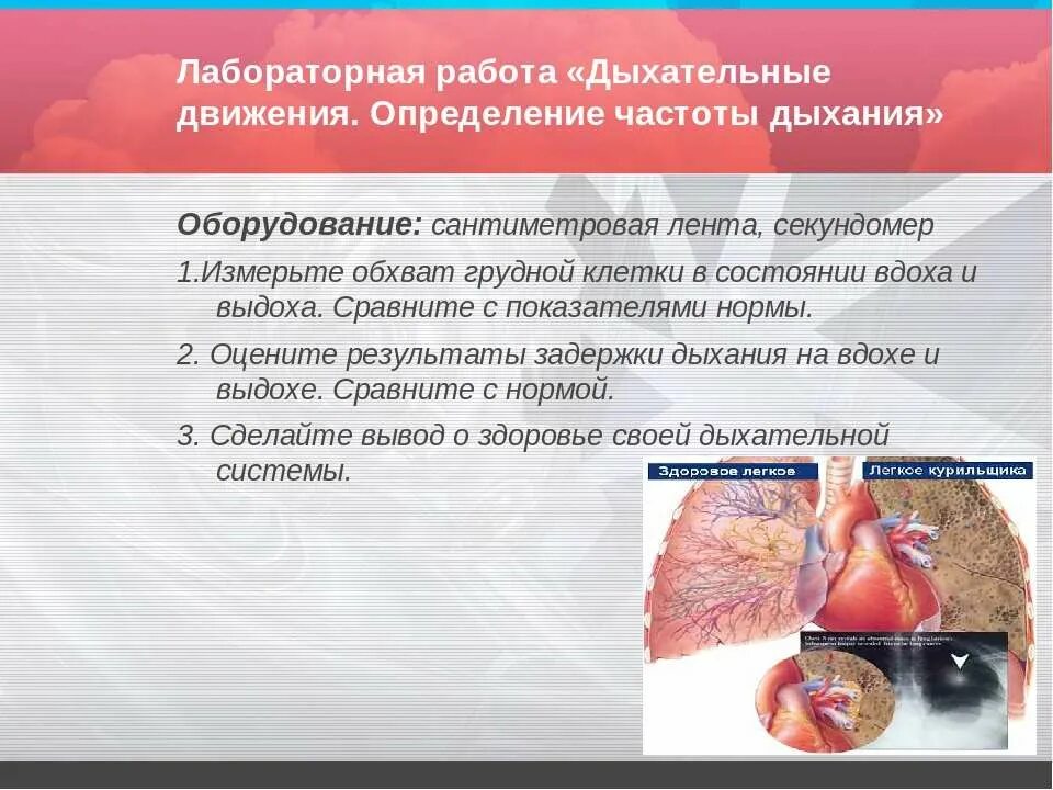 Определение частоты дыхания 8 класс лабораторная работа. Лабораторная работа дыхательные движения. лабораторная работа измерение определение частоты дыхания. лабораторная работа «определение частоты дыхательных движений». лабораторная работа определение частоты дыхания. на выдохе.