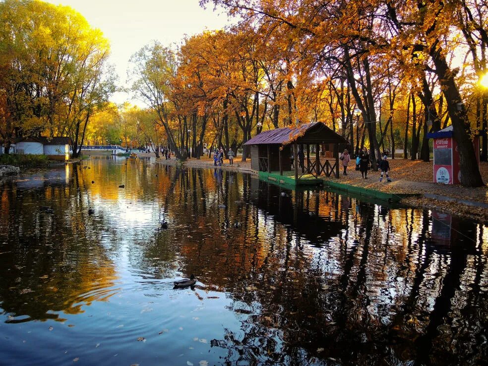 Парк гагарина белгород. Парк Гагарина Самара осень. Парк Гагарина Челябинск осень. Парк Гагарина осенью Самара. Парк имени Гагарина Самара в октябре.