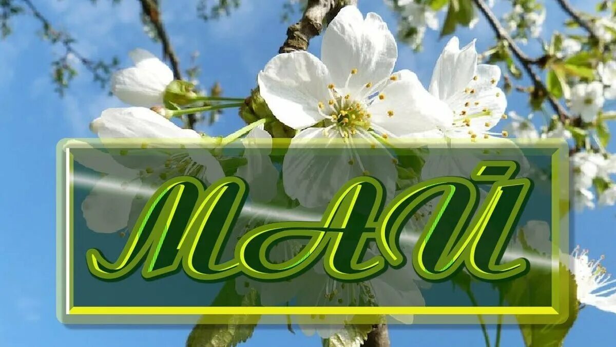 Месяц май минут. Май надпись. название месяца май. месяц май с надписью.