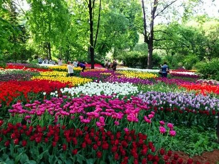 Красивые сады в москве