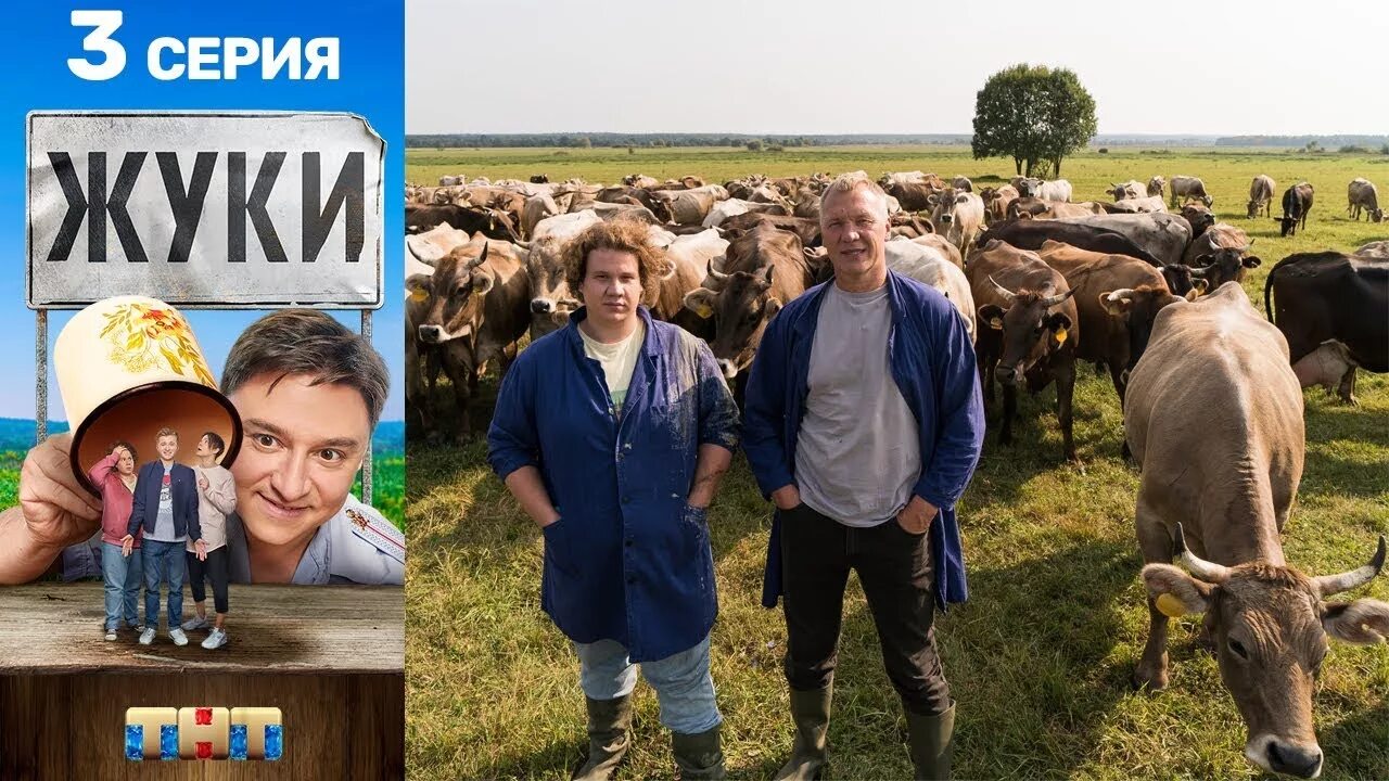Жуки 4 дата. Сериал жуки 3. жуки 2 сезон 2 серия. жуки 3 сезон 1 серия. актёры сериала жуки 3.